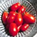 roma tomaten